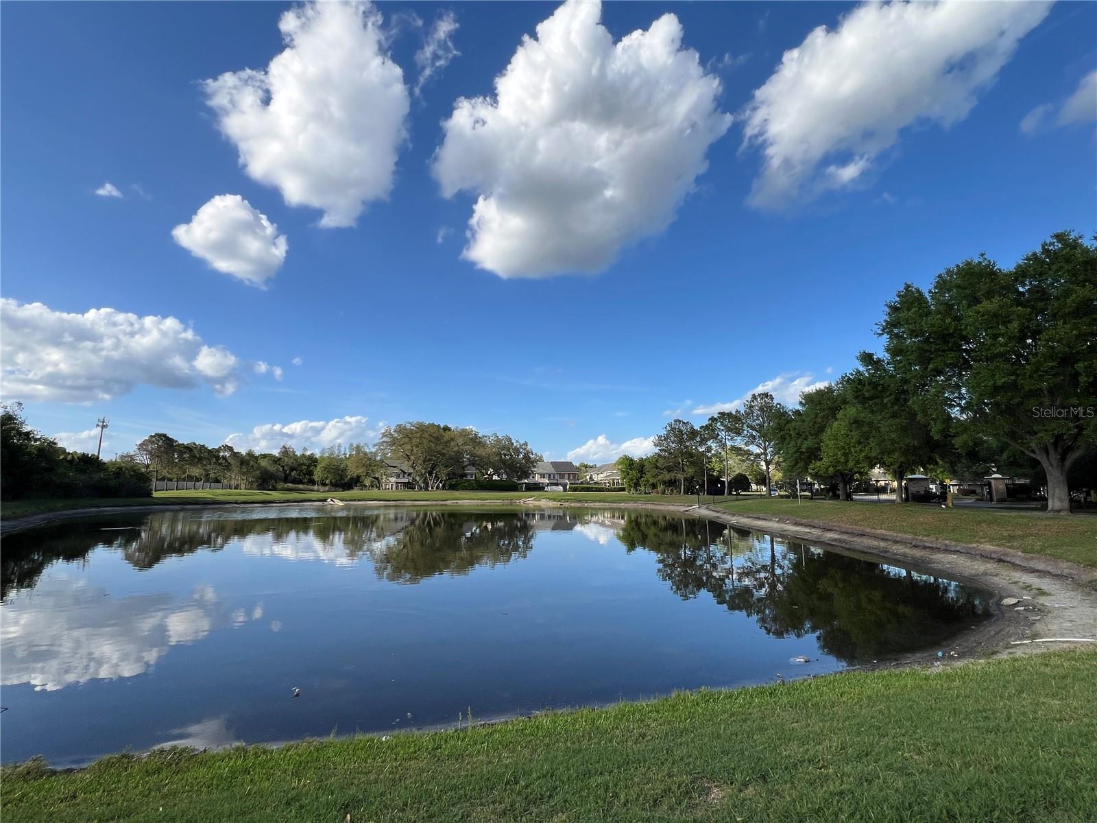 8210 DOWN ROYAL RD, TAMPA, FL — photo 40