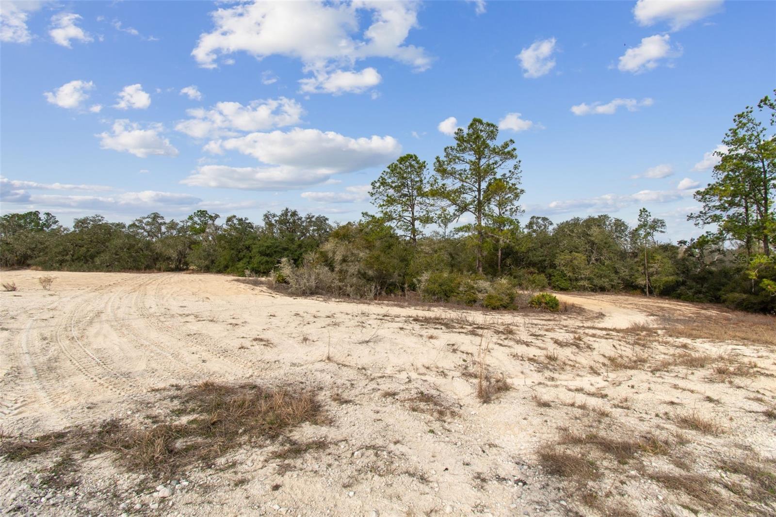 HARDSTONE DR, WEBSTER, FL — photo 2