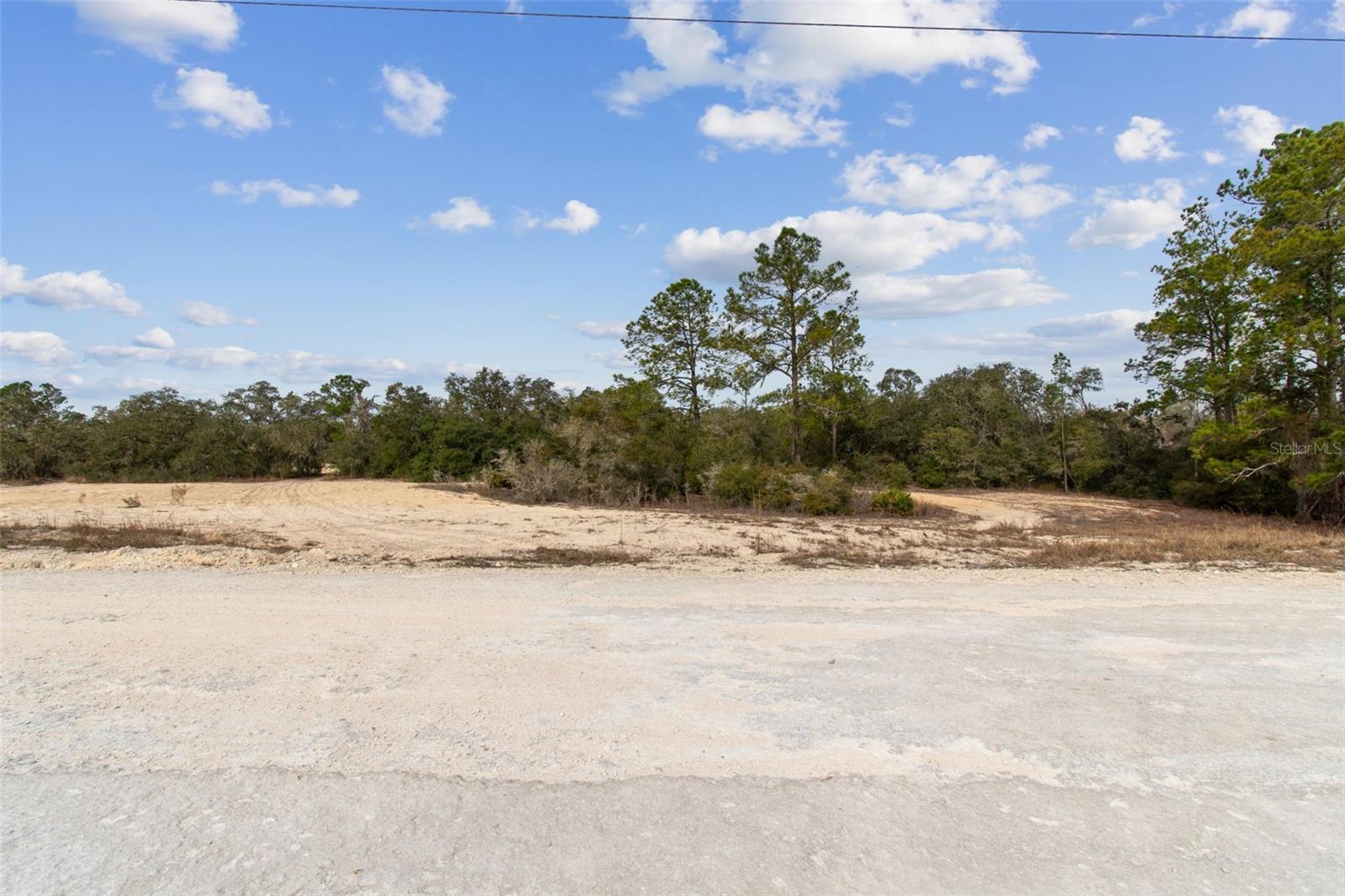 HARDSTONE DR, WEBSTER, FL — photo 3