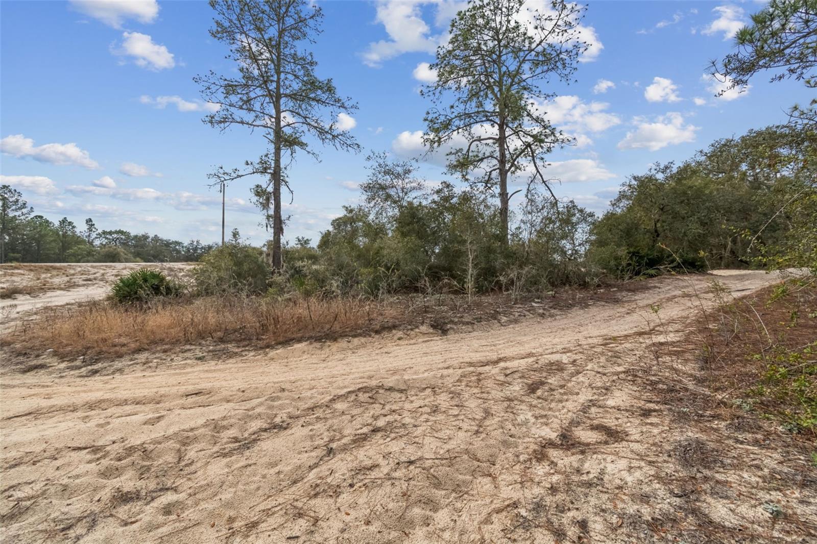 HARDSTONE DR, WEBSTER, FL — photo 8