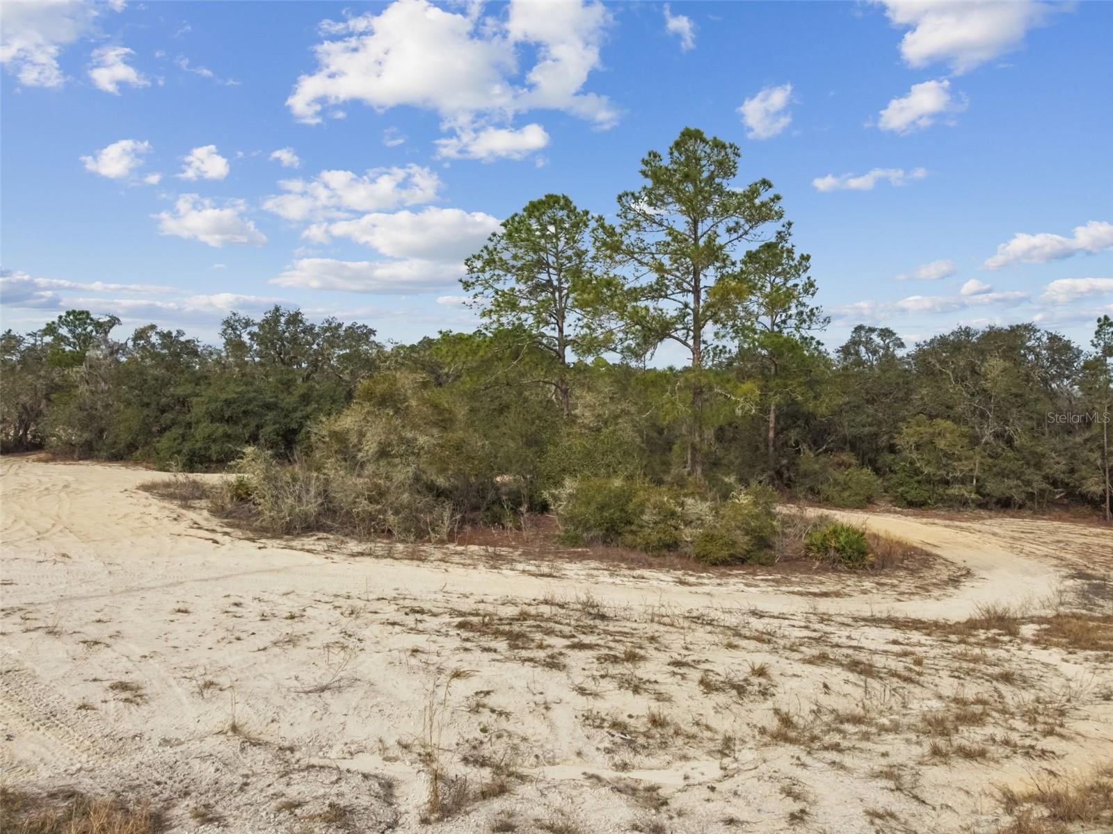 HARDSTONE DR, WEBSTER, FL — photo 11