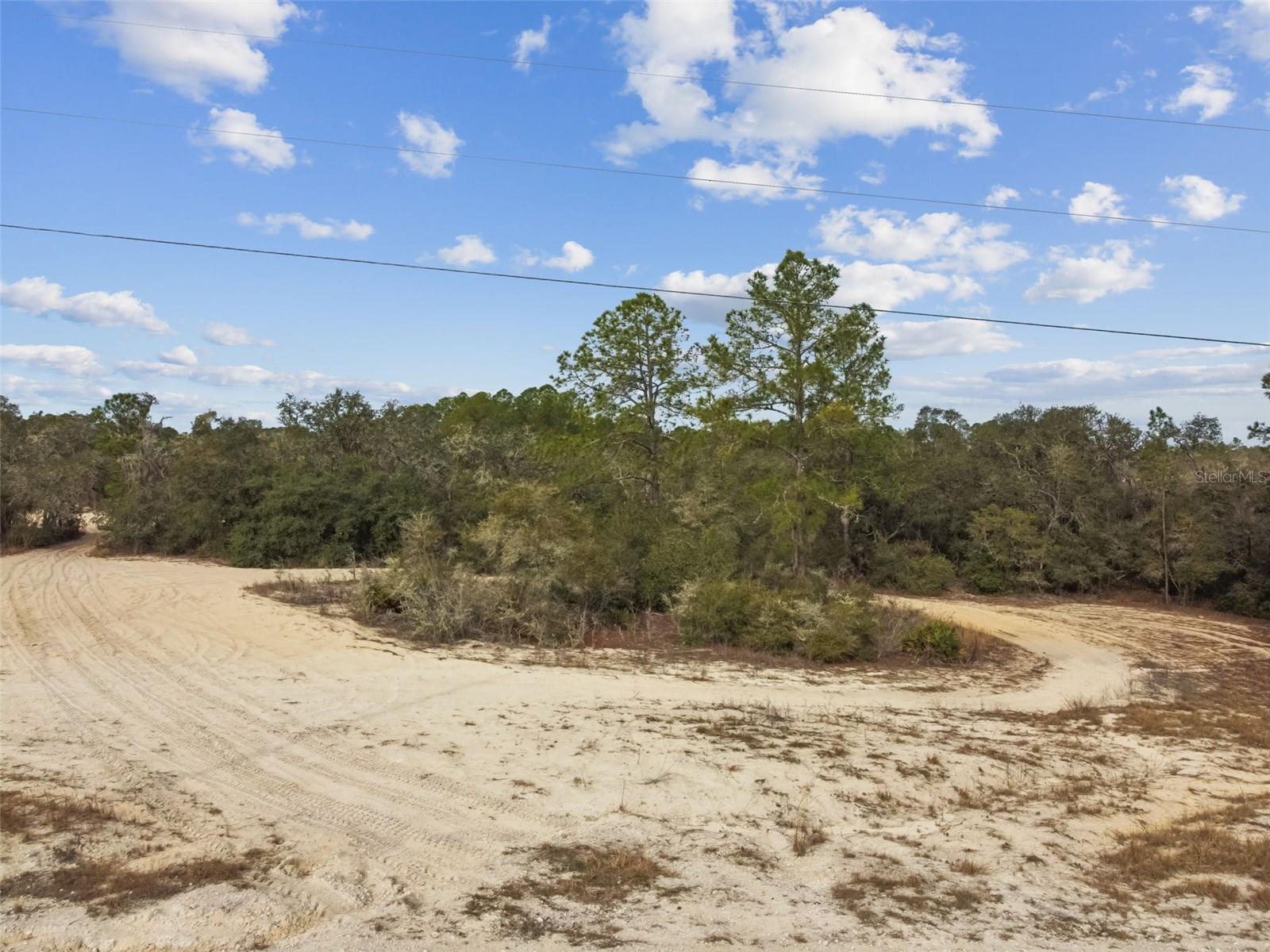 HARDSTONE DR, WEBSTER, FL — photo 12