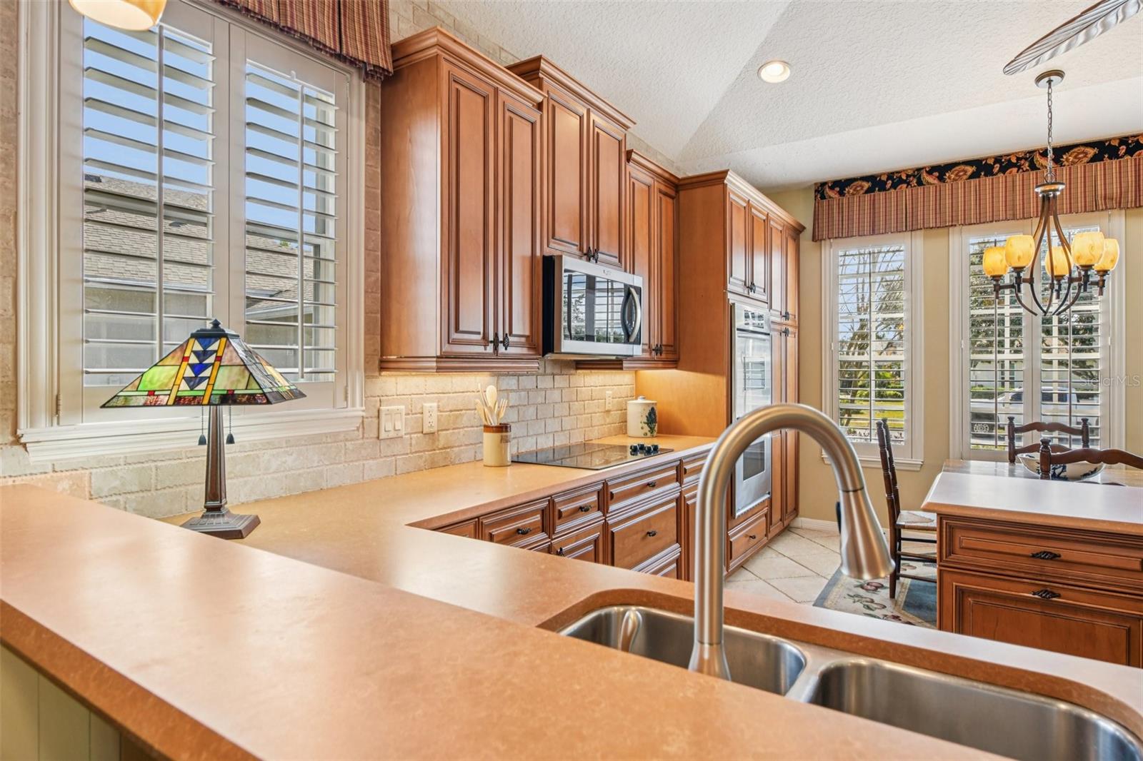 8013 PINE HOLLOW DR, MOUNT DORA, FL — photo 35