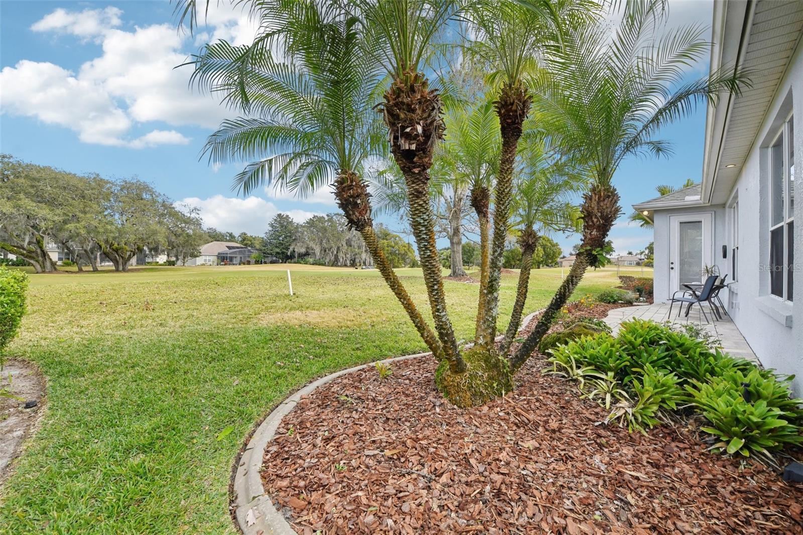 8013 PINE HOLLOW DR, MOUNT DORA, FL — photo 58