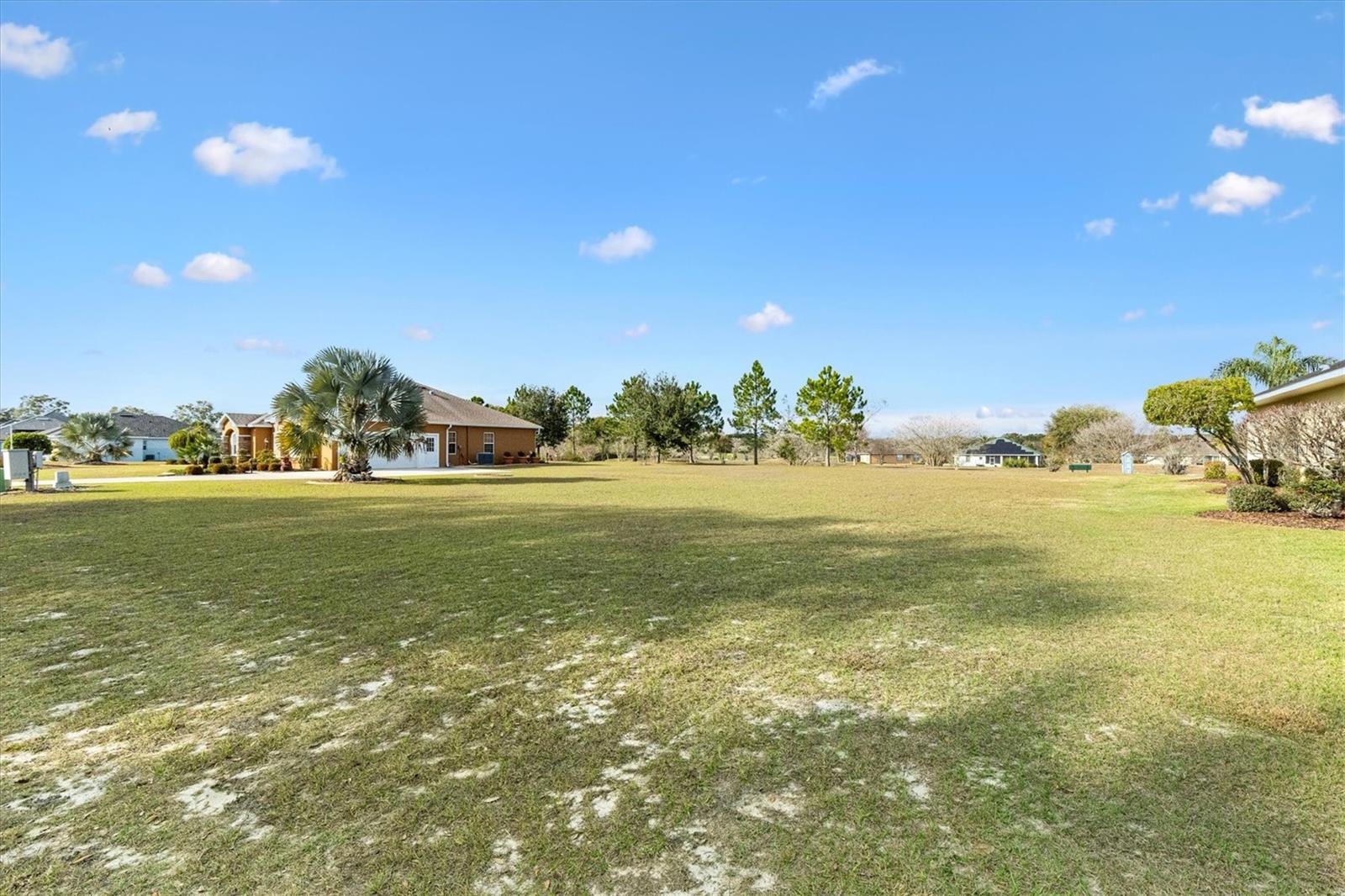 529 DOWLING CIR, LADY LAKE, FL — photo 3
