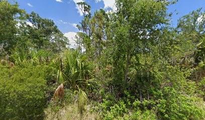 1484 MOREE ST, PORT CHARLOTTE, FL