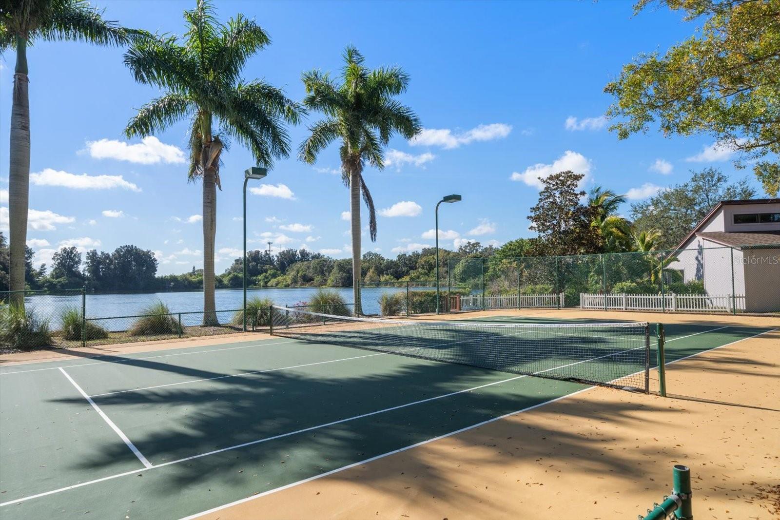 2402 PINE HAMMOCK, CLEARWATER, FL — photo 4