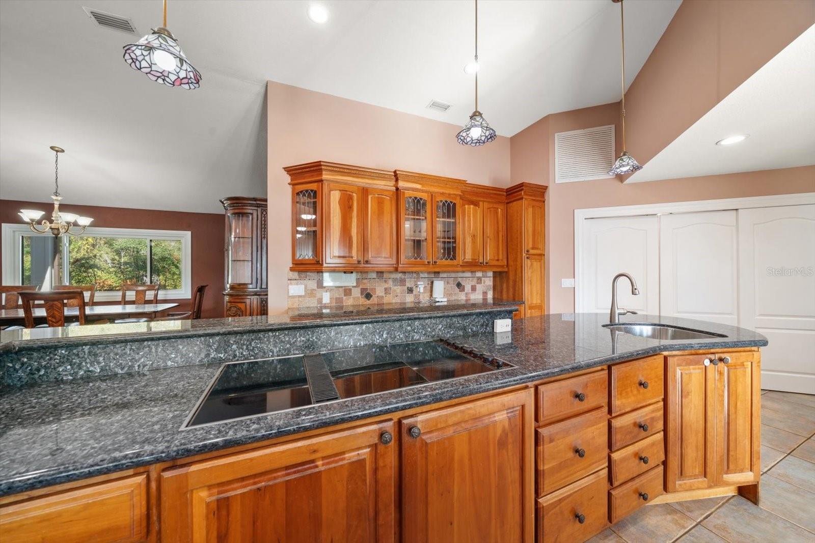 2402 PINE HAMMOCK, CLEARWATER, FL — photo 21