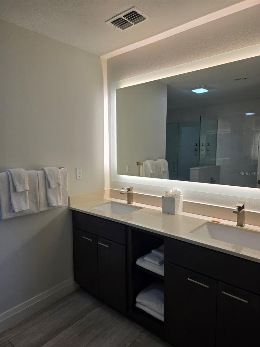 14501 GROVE RESORT AVE #3424, WINTER GARDEN, FL — photo 11