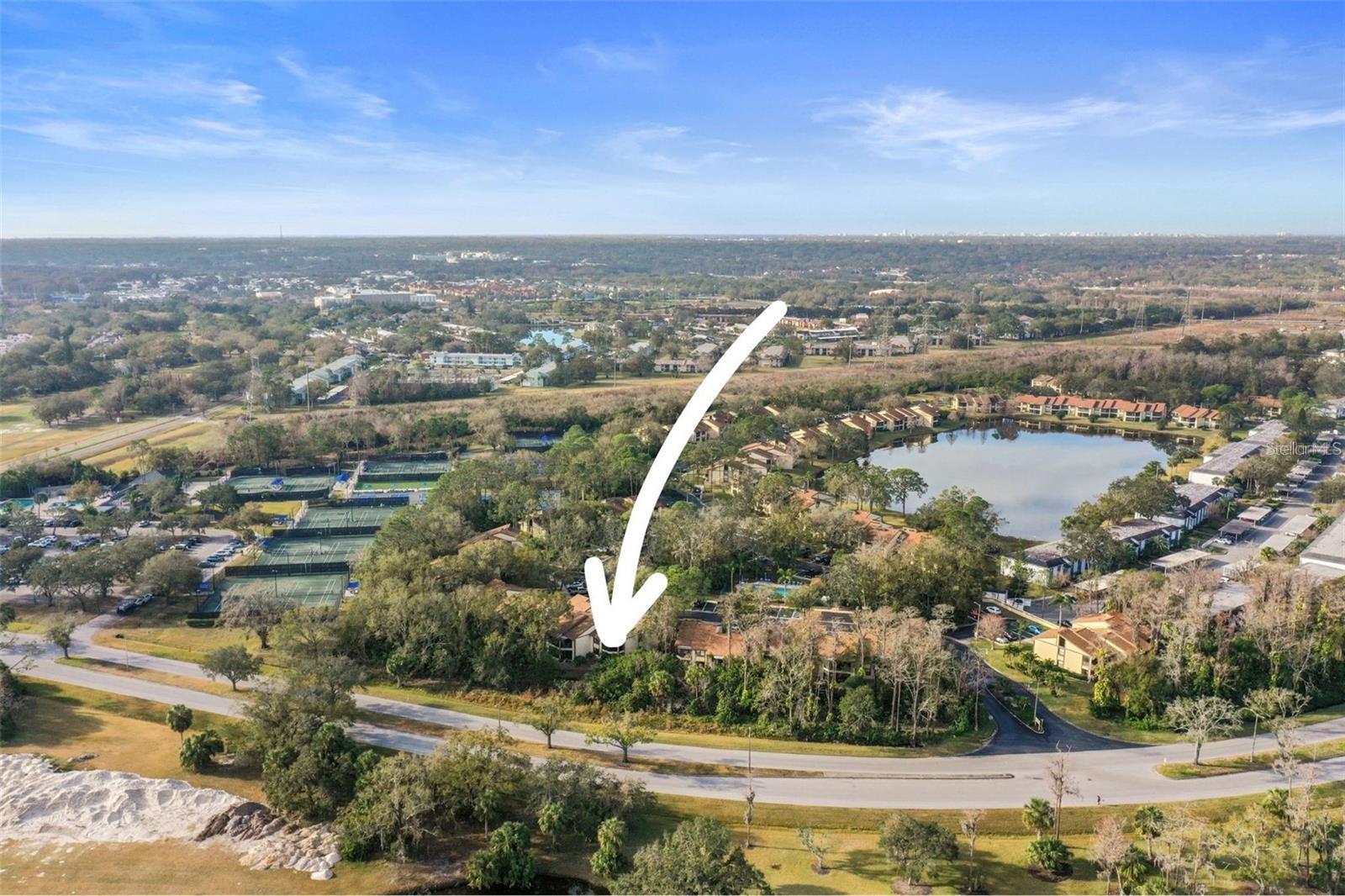 113 WOODLAKE WYNDE #19, OLDSMAR, FL — photo 87