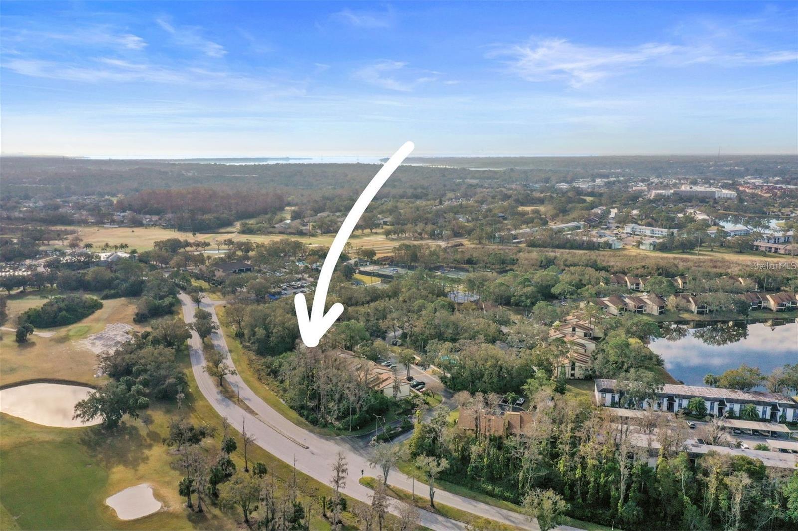 113 WOODLAKE WYNDE #19, OLDSMAR, FL — photo 89