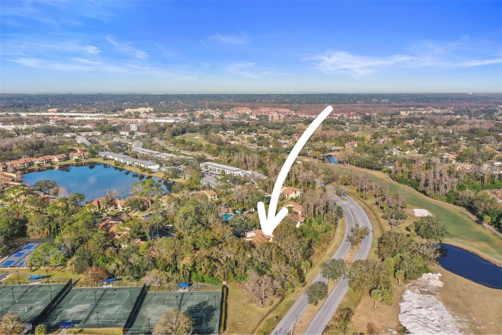 113 WOODLAKE WYNDE #19, OLDSMAR, FL — photo 91