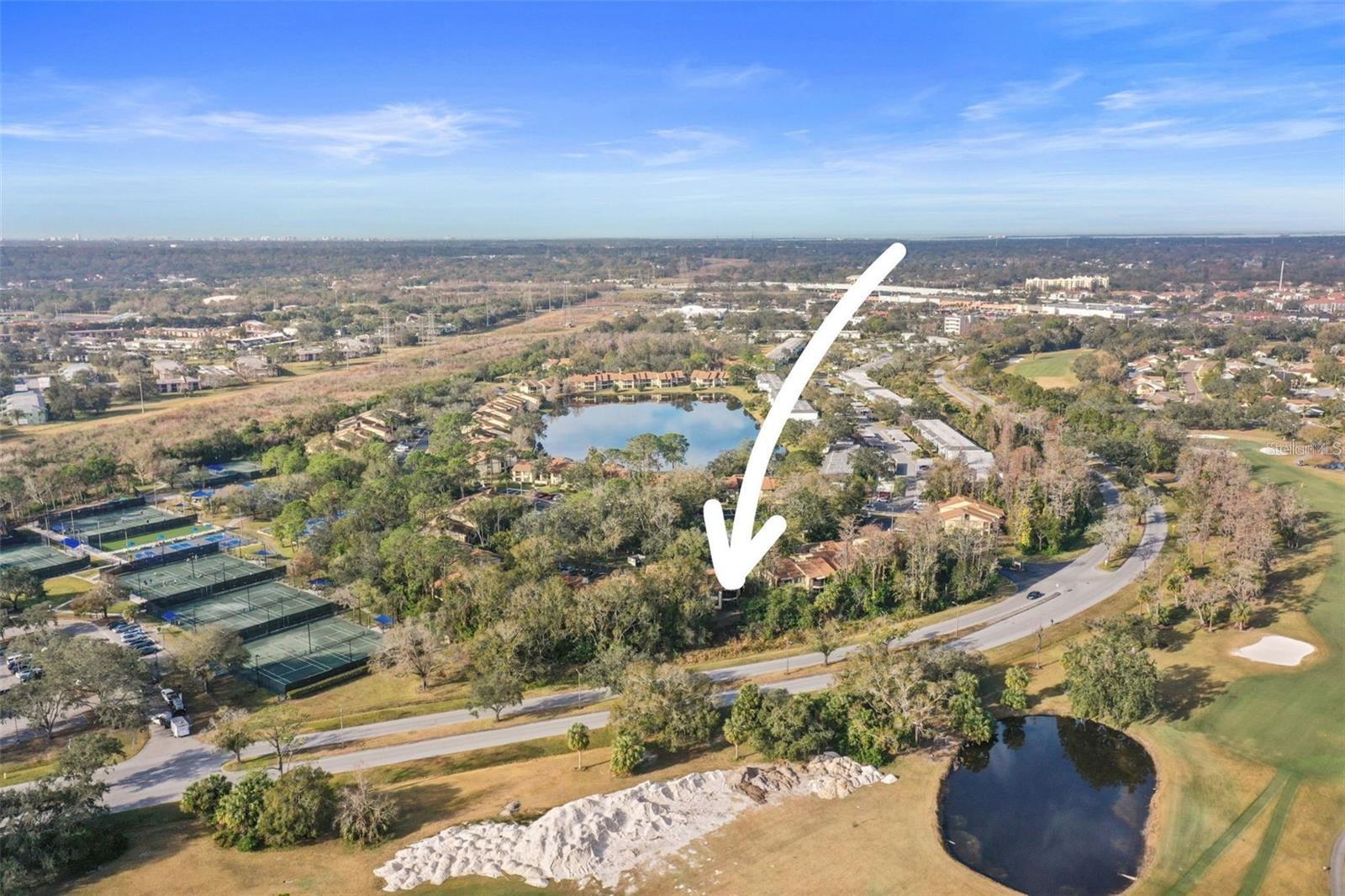 113 WOODLAKE WYNDE #19, OLDSMAR, FL — photo 93