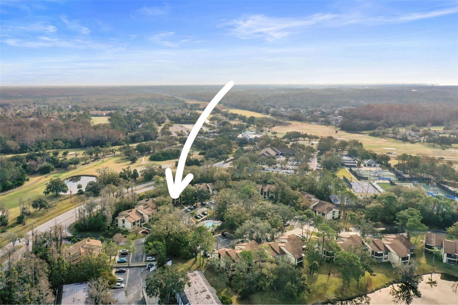 113 WOODLAKE WYNDE #19, OLDSMAR, FL — photo 96