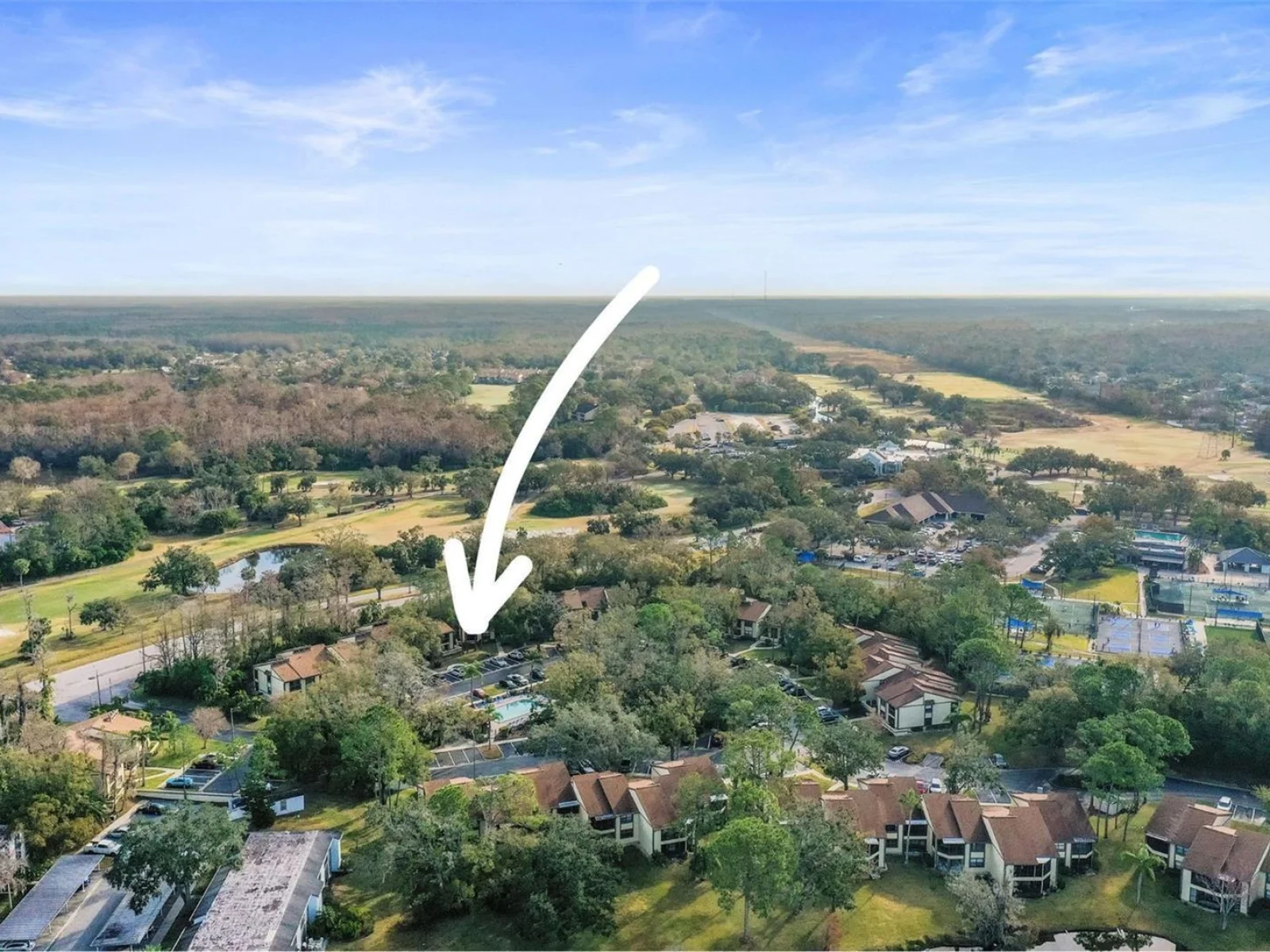 113 WOODLAKE WYNDE #19, OLDSMAR, FL — photo 100