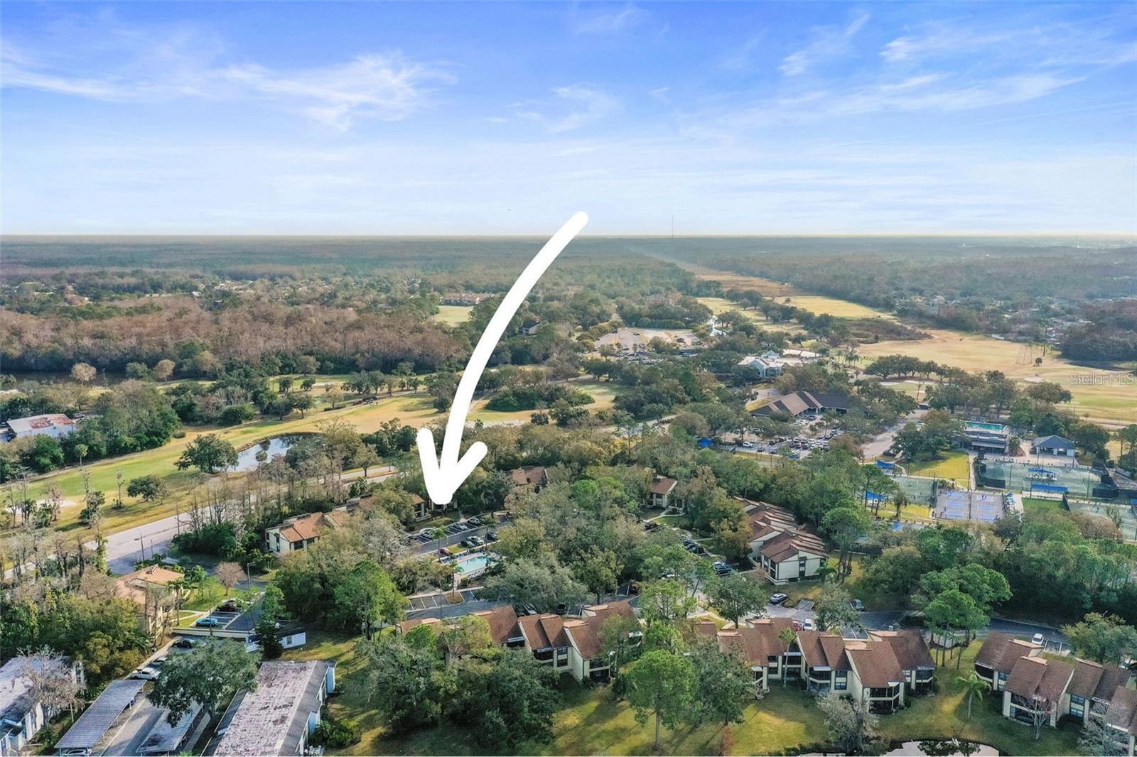 113 WOODLAKE WYNDE #19, OLDSMAR, FL — photo 99