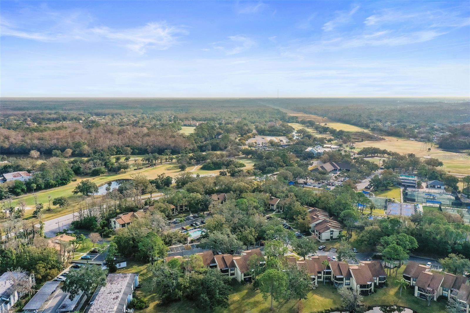 113 WOODLAKE WYNDE #19, OLDSMAR, FL — photo 121