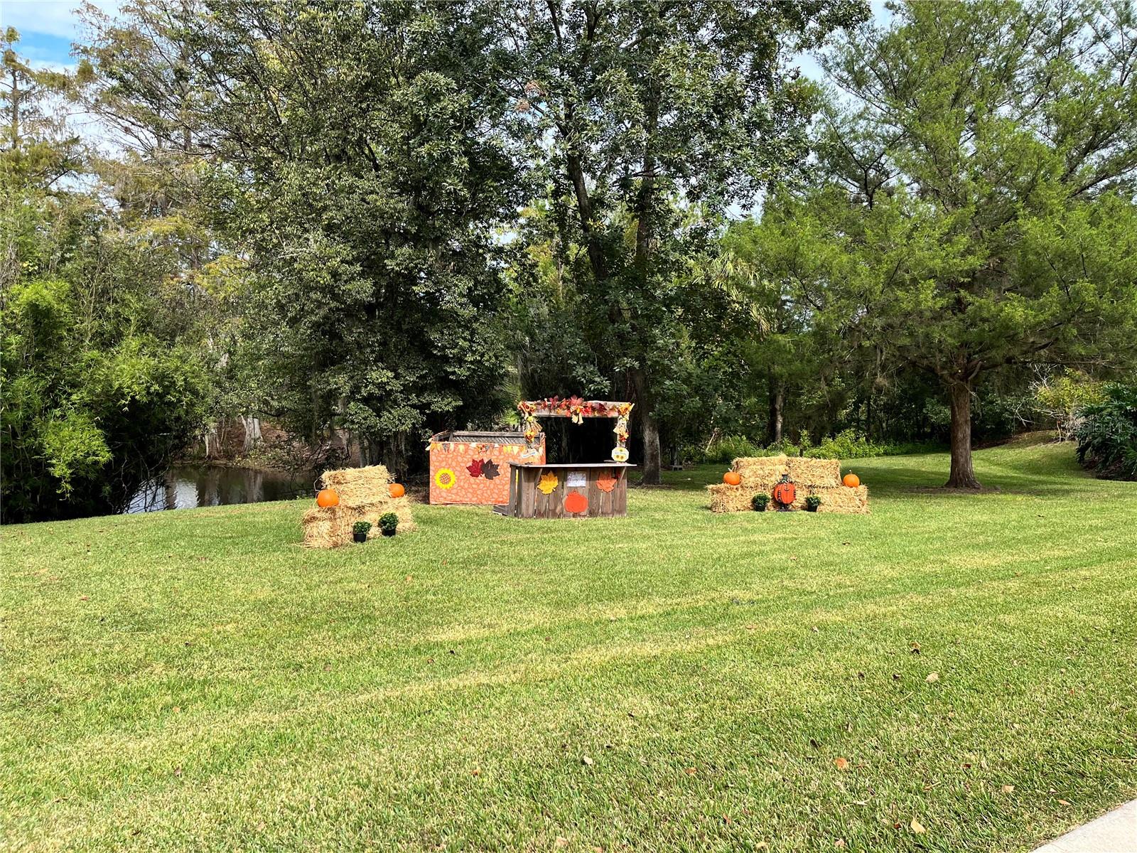 2845 NE 104TH AVE, SILVER SPRINGS, FL — photo 38