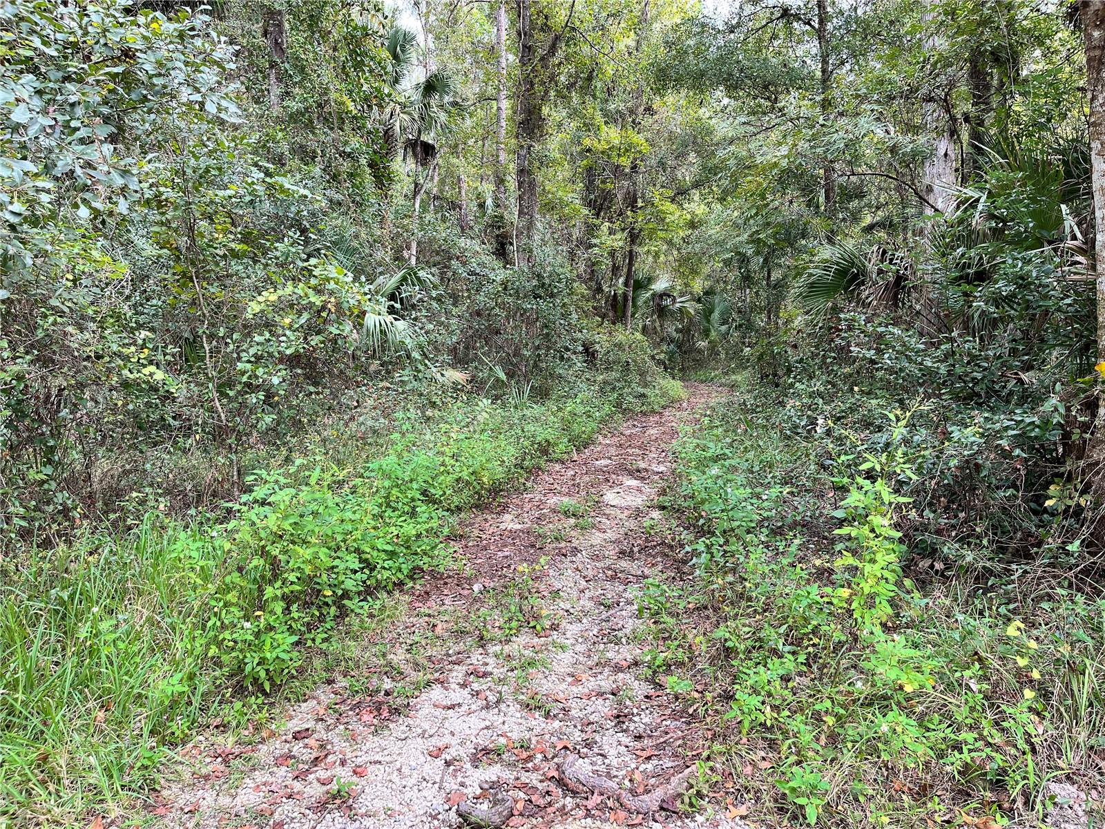 2845 NE 104TH AVE, SILVER SPRINGS, FL — photo 43