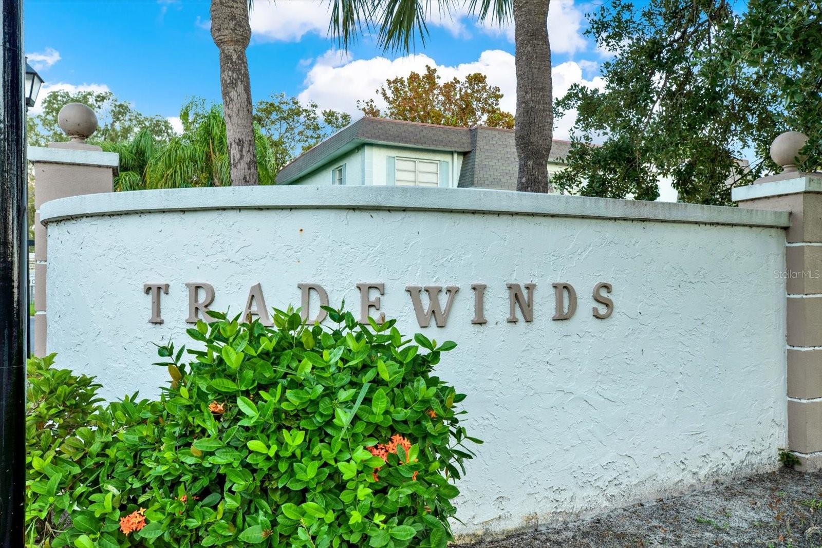 235 S MCMULLEN BOOTH RD #45, CLEARWATER, FL — photo 21