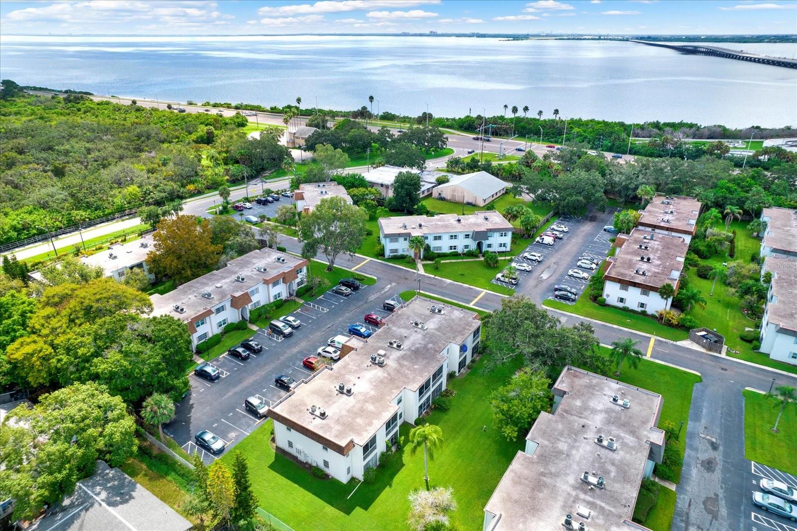 235 S MCMULLEN BOOTH RD #45, CLEARWATER, FL — photo 25