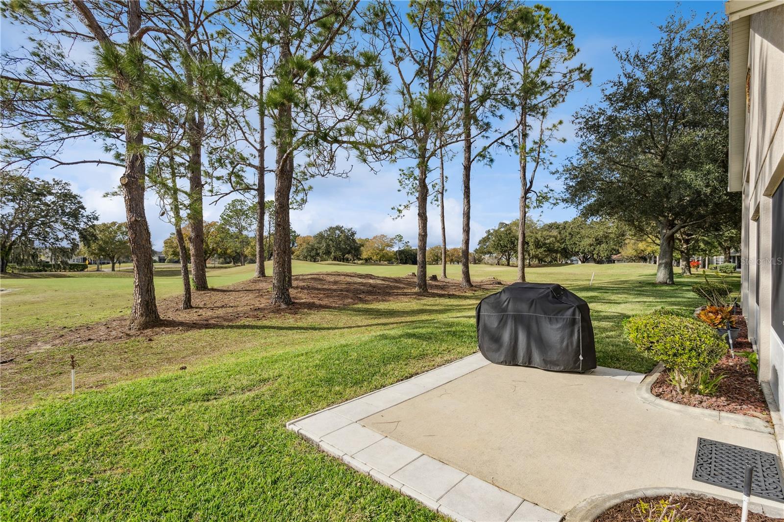 24215 BELLE MEDE DR, LEESBURG, FL — photo 48