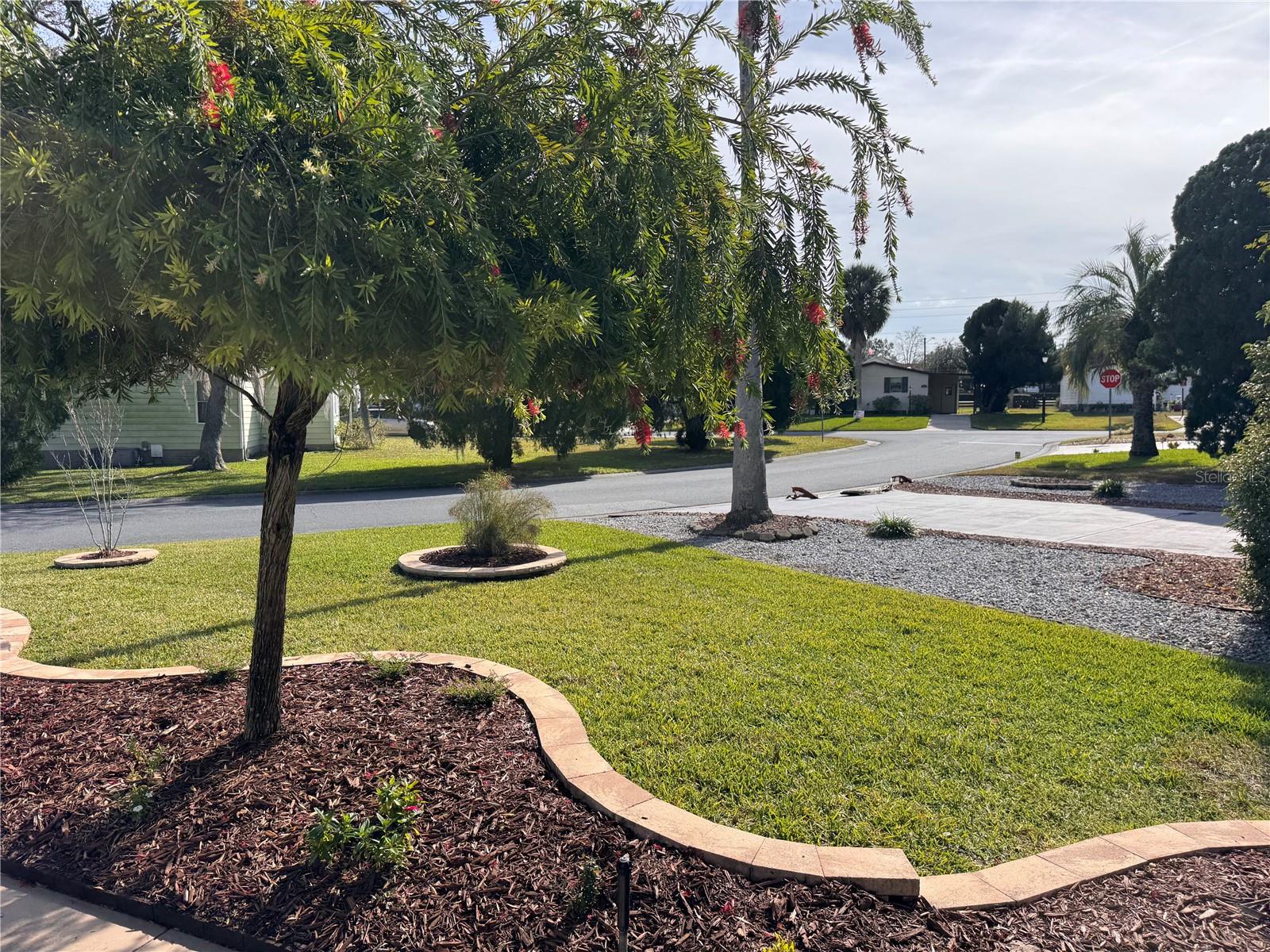 1006 ANN AVE, LADY LAKE, FL — photo 69