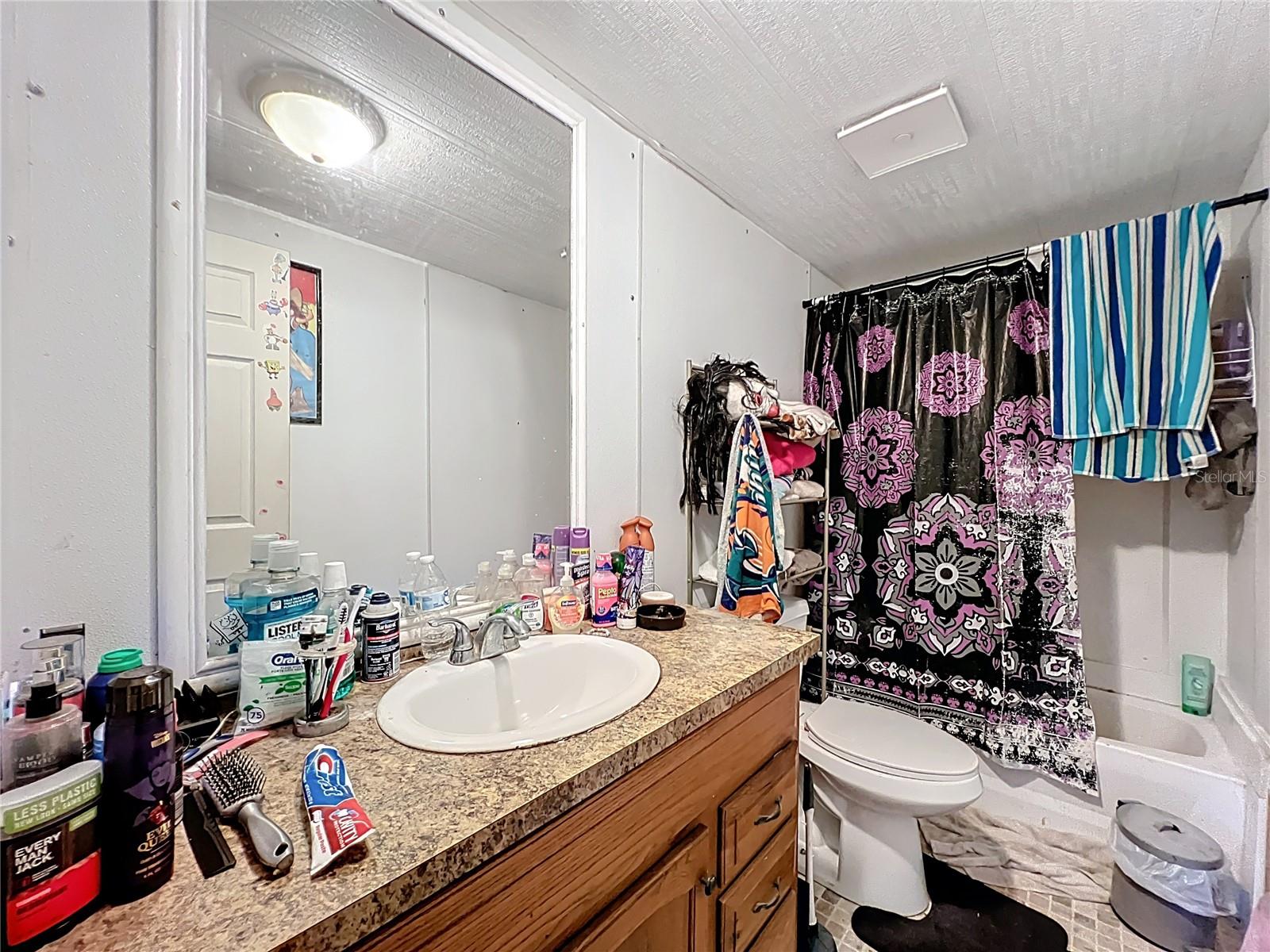 45797 OHIO ST, PAISLEY, FL — photo 83