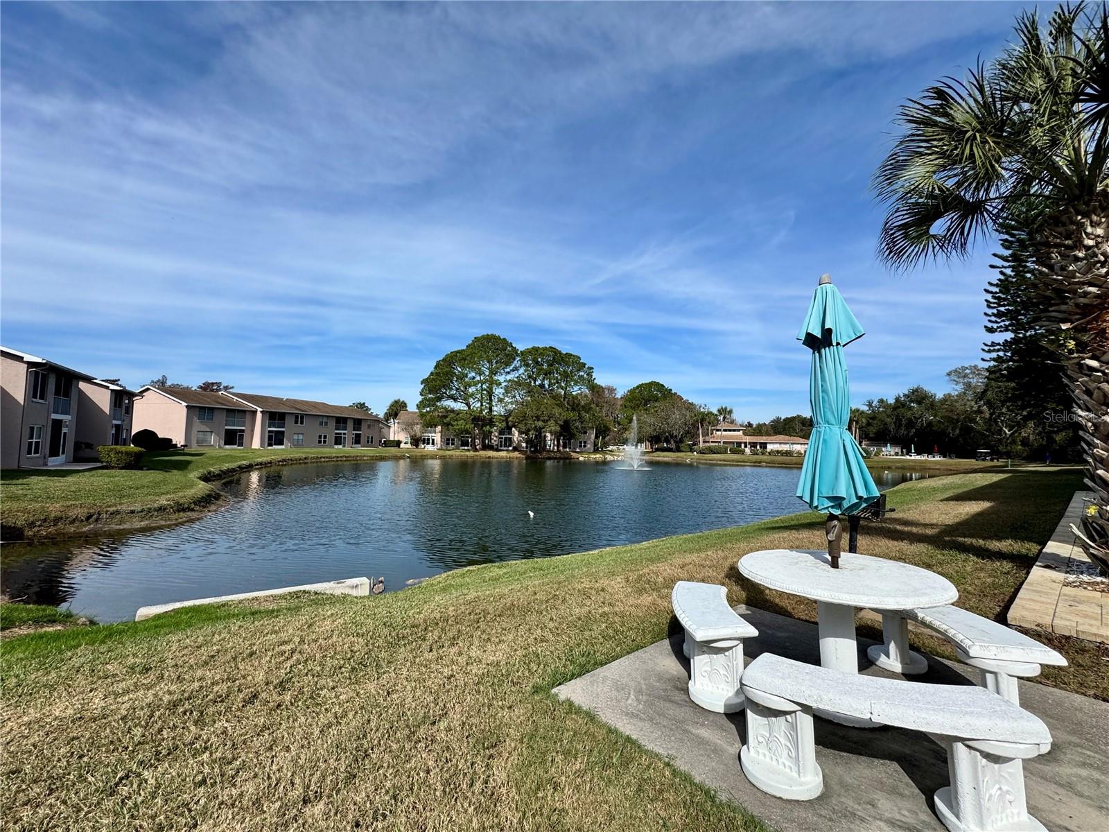 6527 SPRING FLOWER DR #21, NEW PORT RICHEY, FL — photo 18