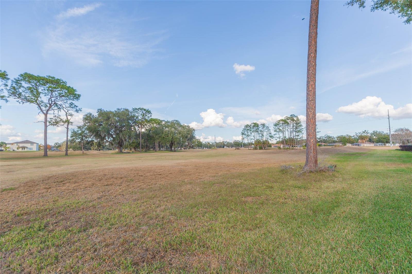 6545 BRENTWOOD DR, ZEPHYRHILLS, FL — photo 47
