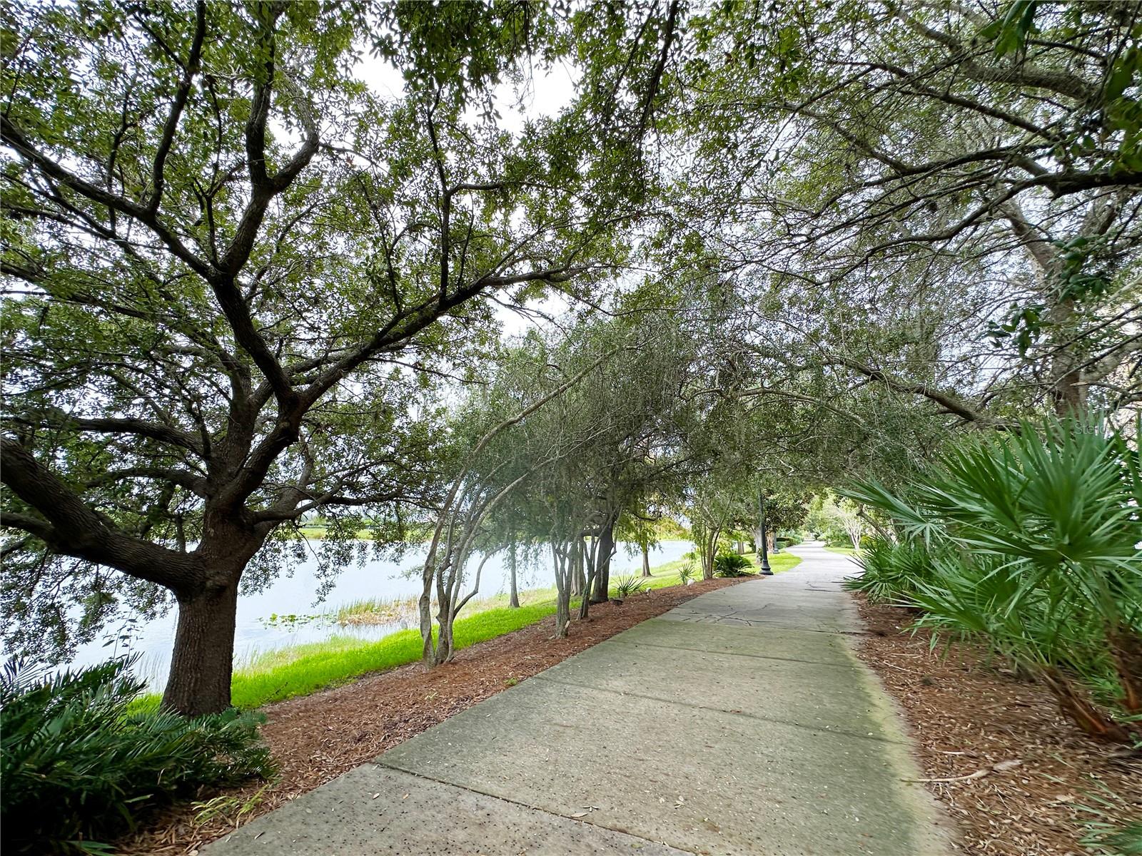 5049 SHOREWAY LOOP #10301, ORLANDO, FL — photo 56