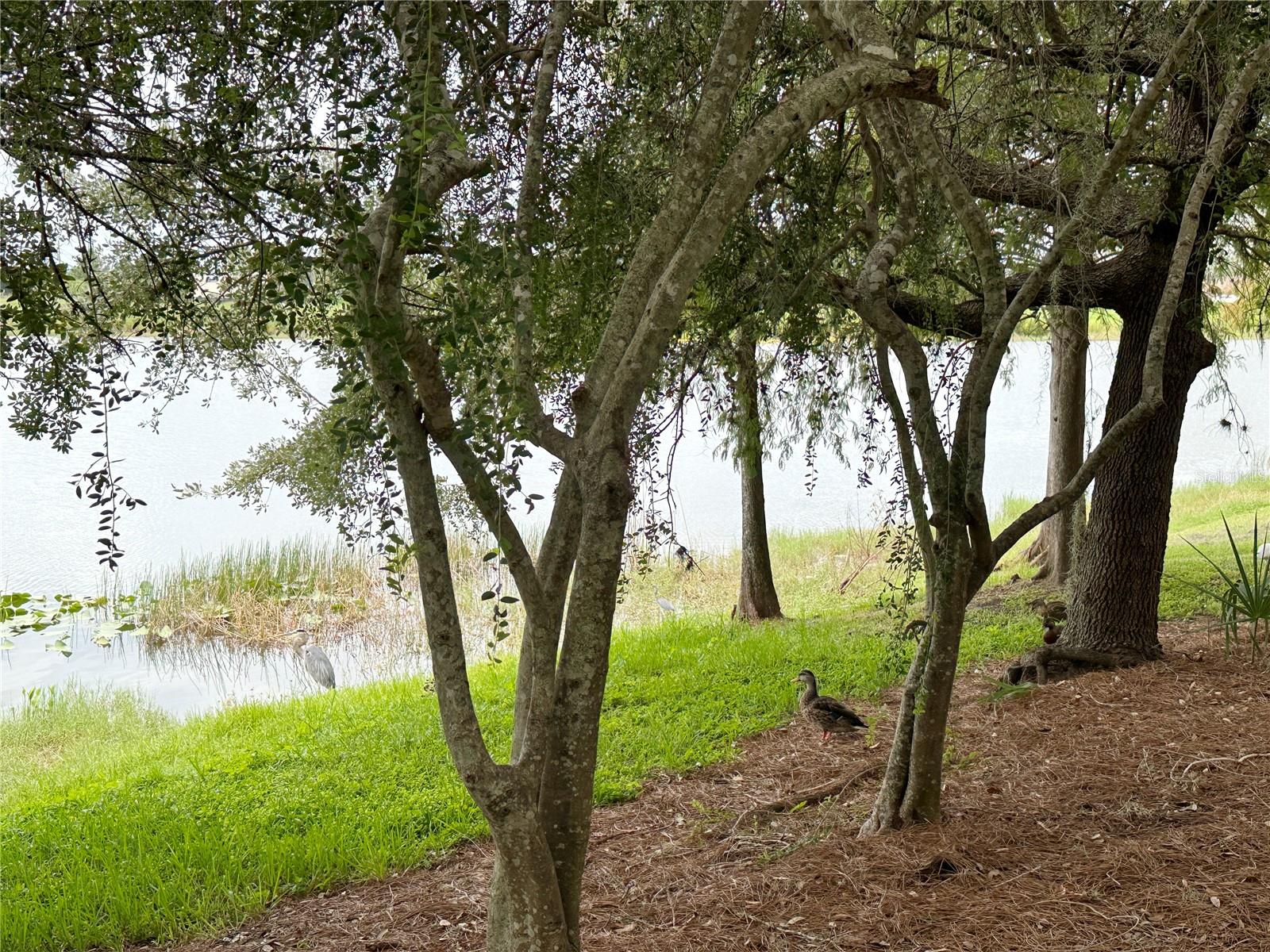 5049 SHOREWAY LOOP #10301, ORLANDO, FL — photo 57