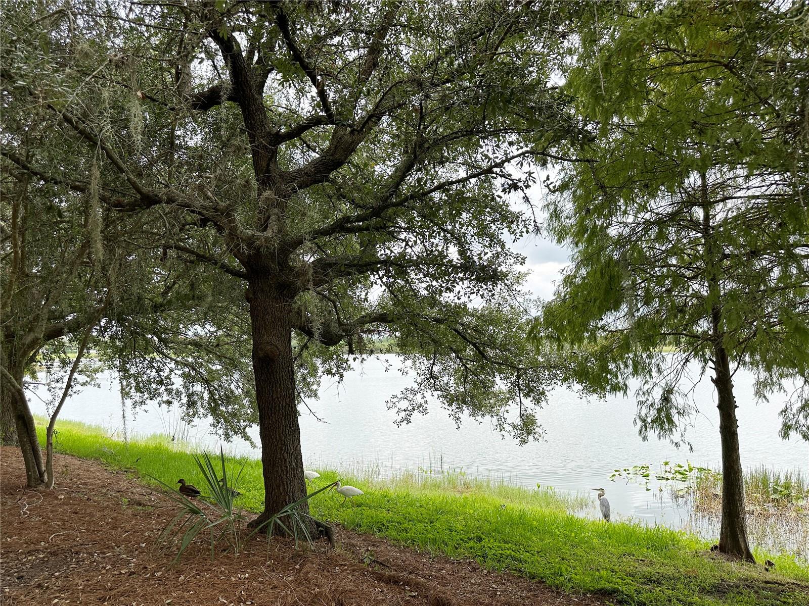 5049 SHOREWAY LOOP #10301, ORLANDO, FL — photo 58