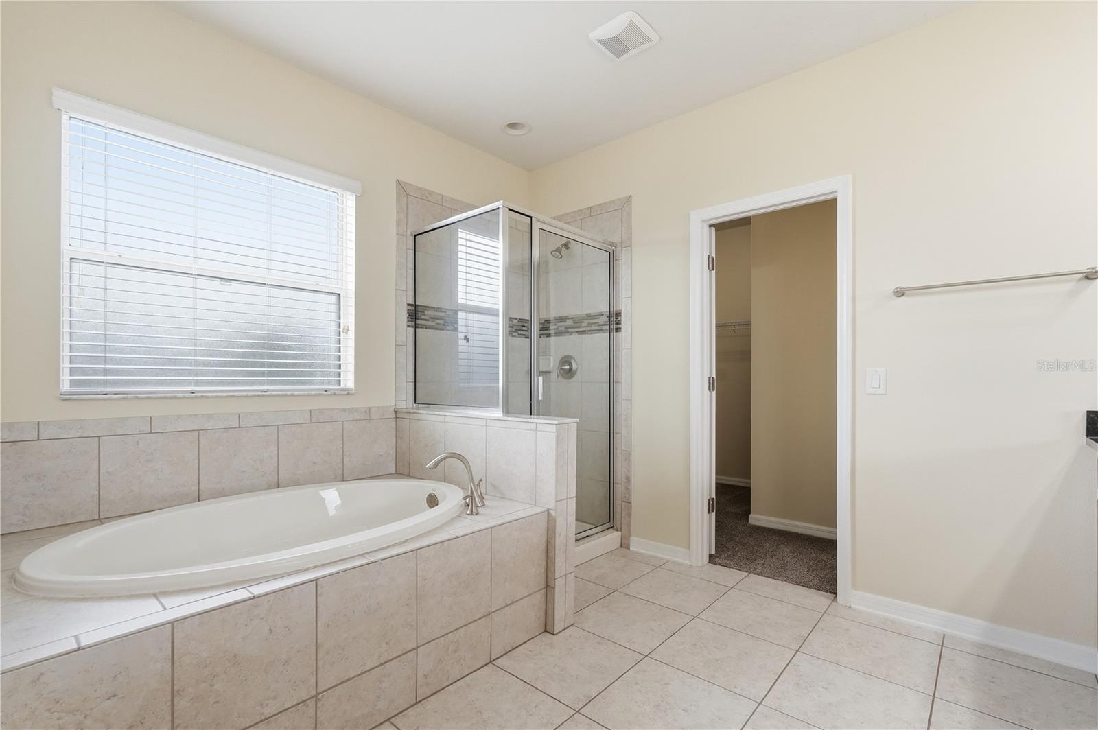 20203 AUTUMN FERN AVE, TAMPA, FL — photo 24