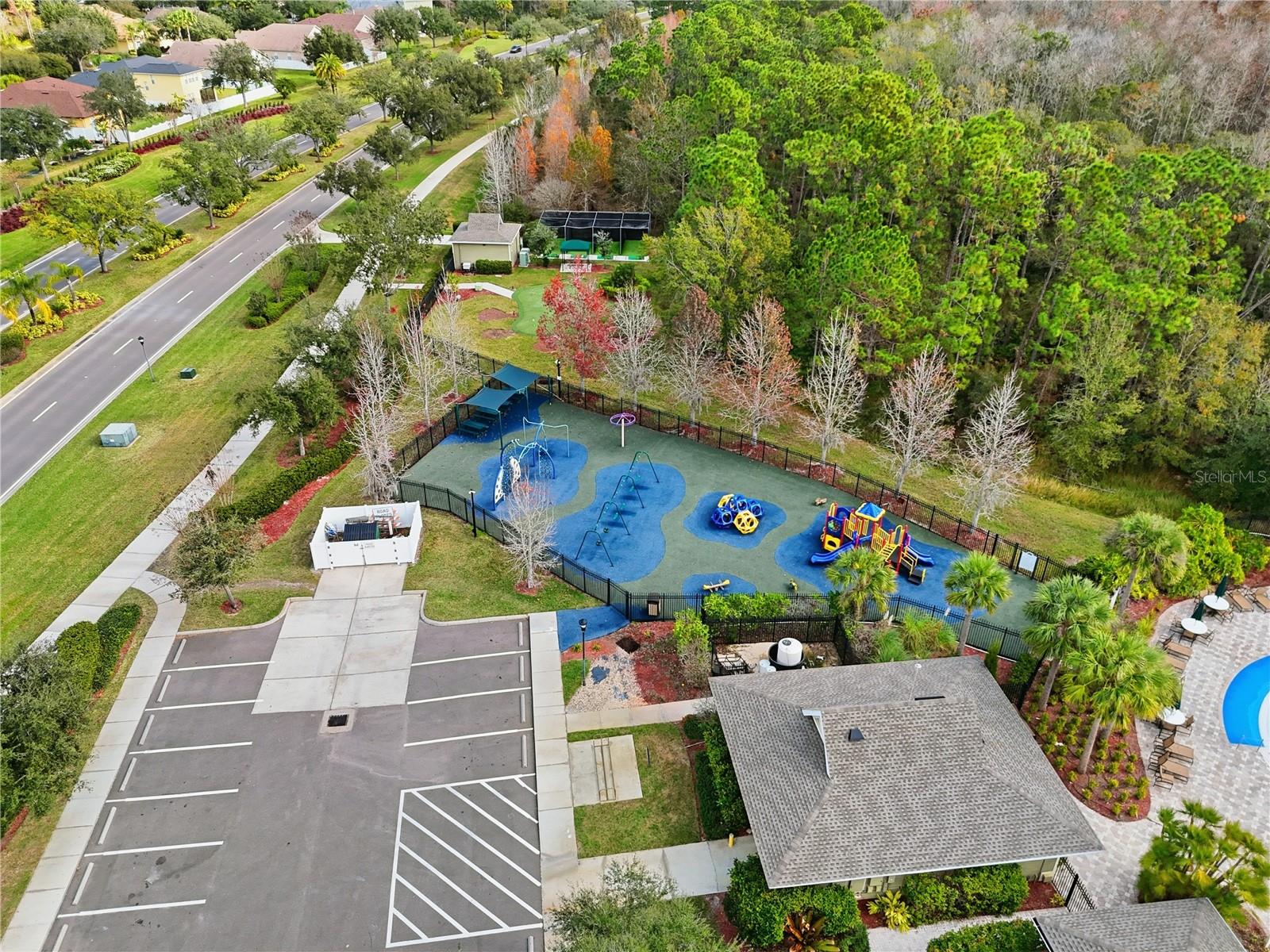 20203 AUTUMN FERN AVE, TAMPA, FL — photo 42