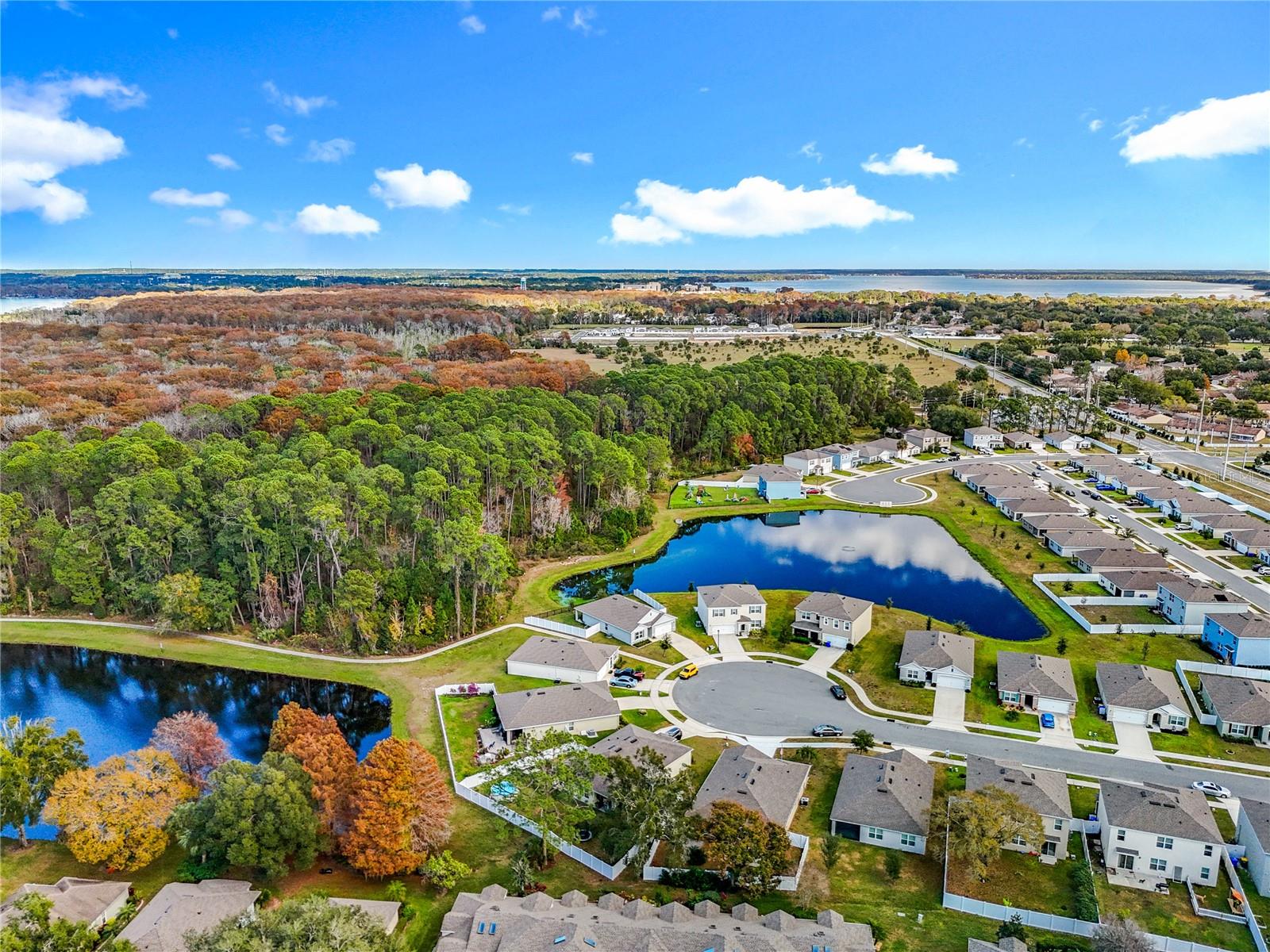 2928 CANARY LN, TAVARES, FL — photo 4