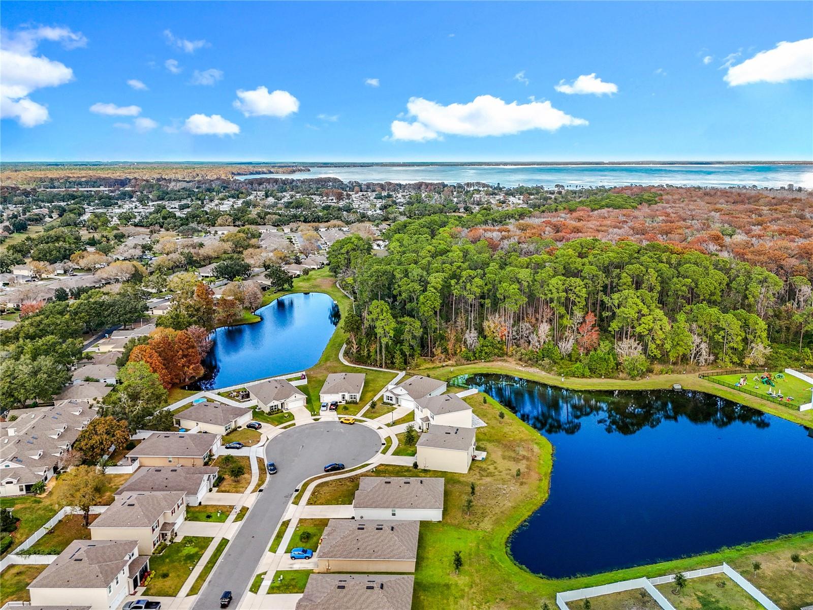 2928 CANARY LN, TAVARES, FL — photo 5