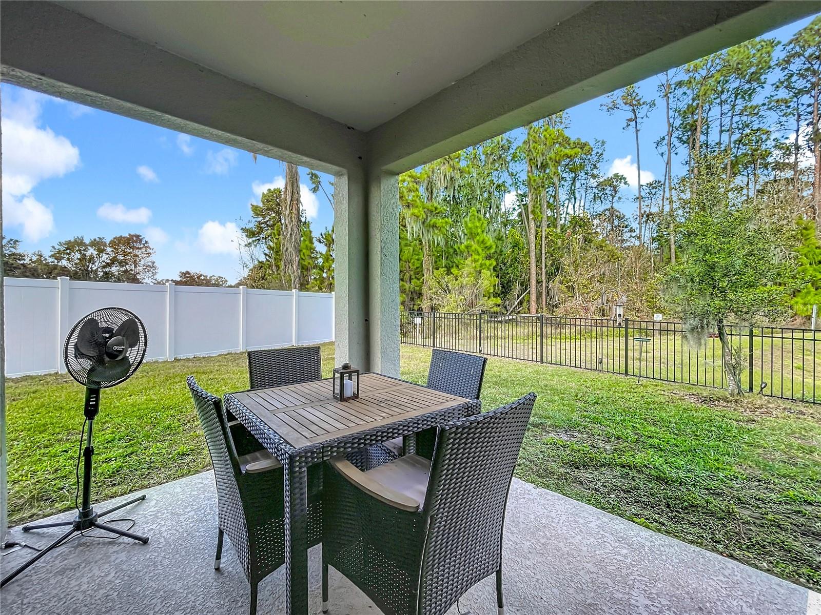 2928 CANARY LN, TAVARES, FL — photo 94
