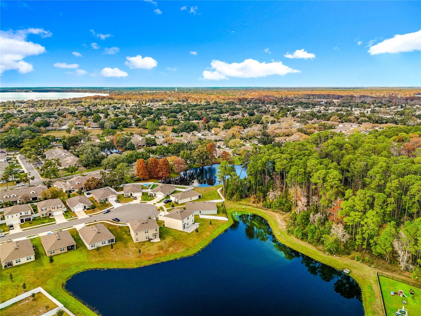 2928 CANARY LN, TAVARES, FL — photo 111