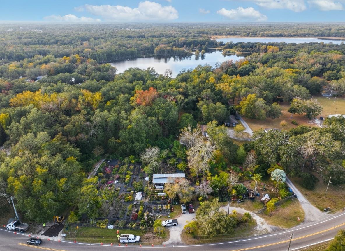 9906 GUNN HWY, ODESSA, FL — photo 2