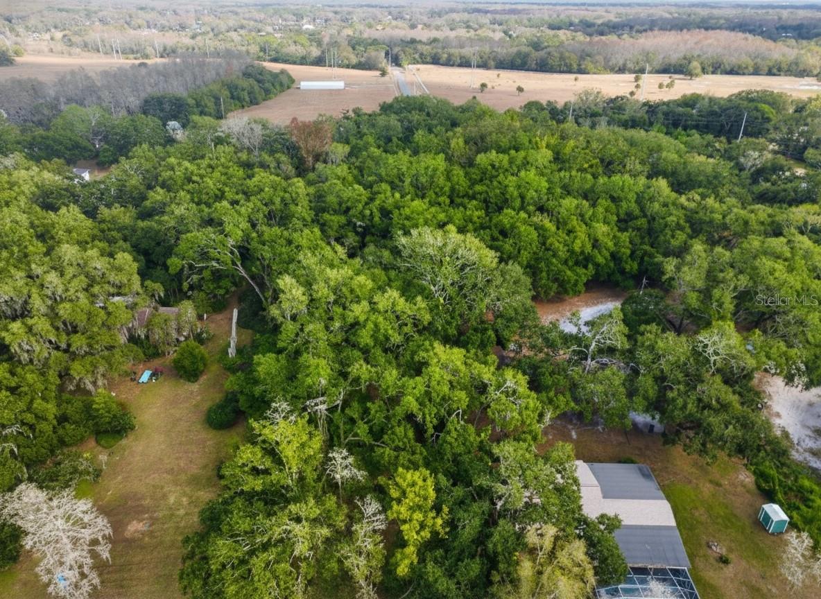 9906 GUNN HWY, ODESSA, FL — photo 12