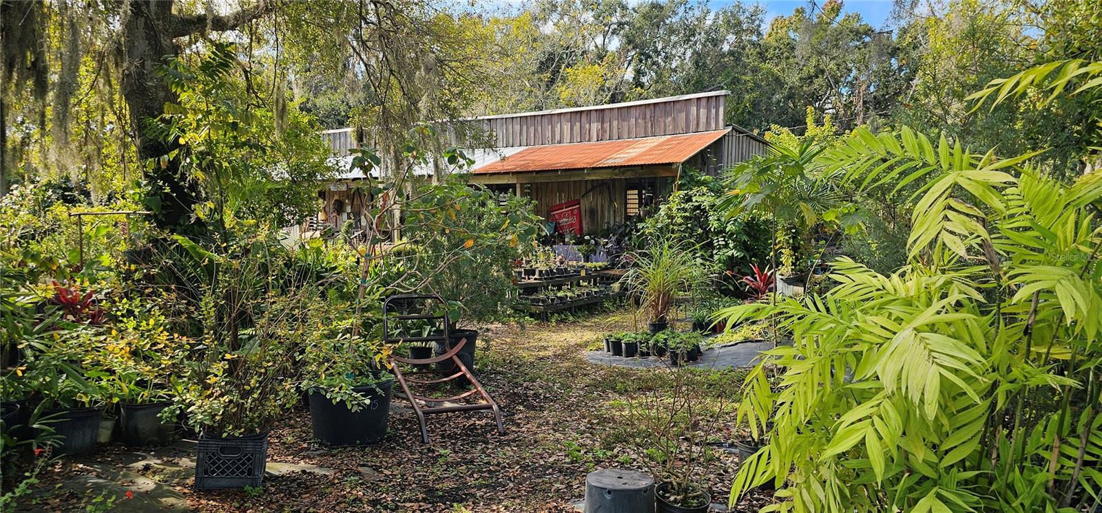 9906 GUNN HWY, ODESSA, FL — photo 9