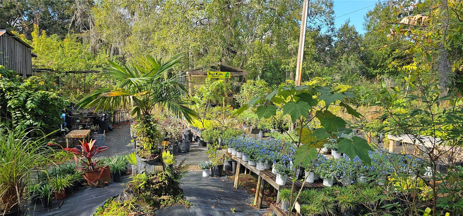 9906 GUNN HWY, ODESSA, FL — photo 8