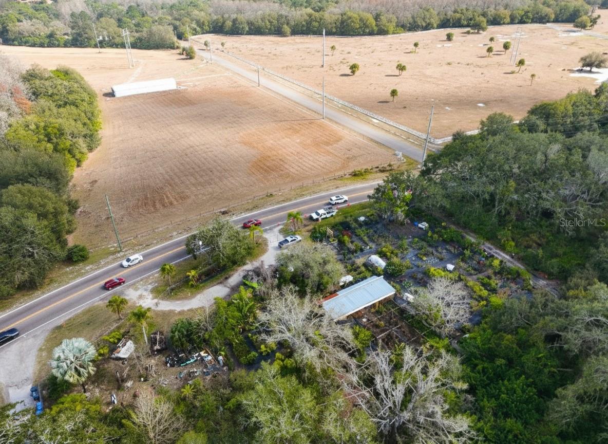 9906 GUNN HWY, ODESSA, FL — photo 28