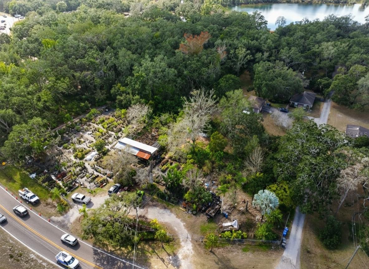 9906 GUNN HWY, ODESSA, FL — photo 13