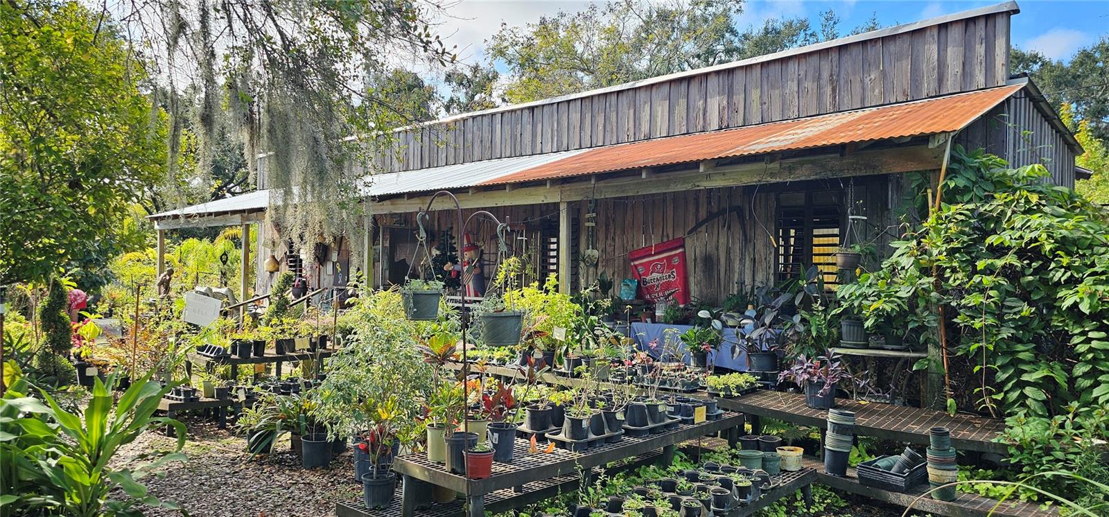 9906 GUNN HWY, ODESSA, FL — photo 5