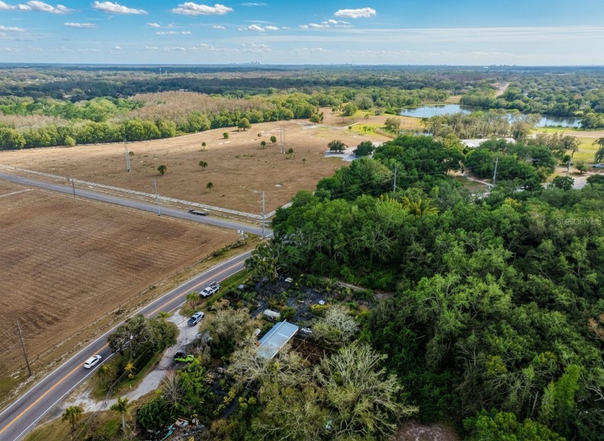 9906 GUNN HWY, ODESSA, FL — photo 26