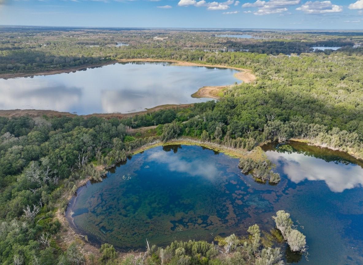9906 GUNN HWY, ODESSA, FL — photo 15