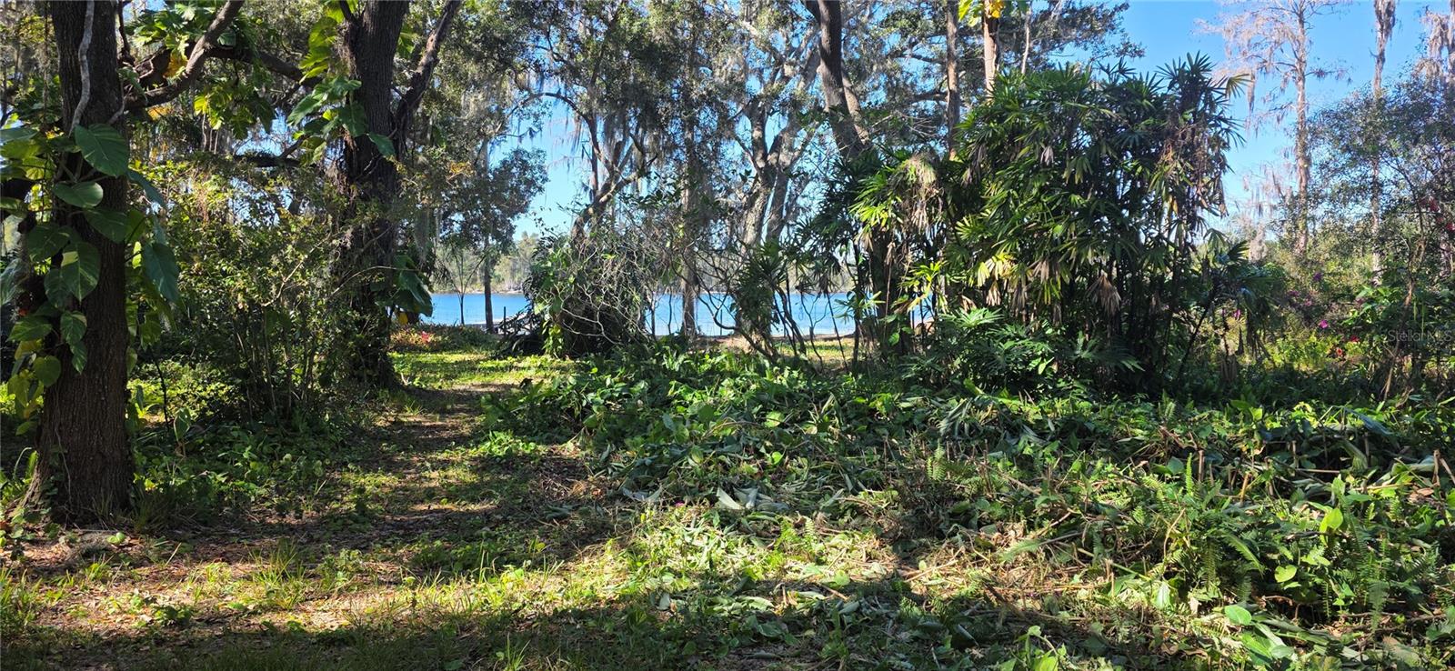 9906 GUNN HWY, ODESSA, FL — photo 16