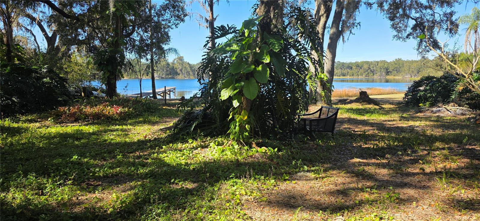 9906 GUNN HWY, ODESSA, FL — photo 17